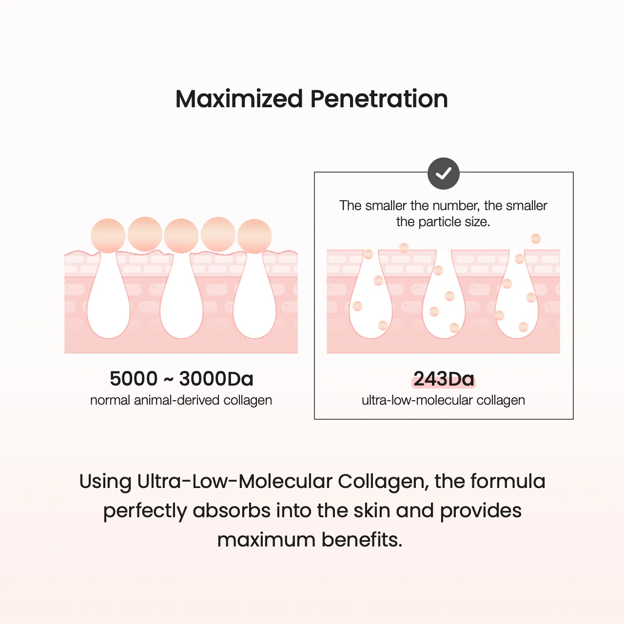 Collagen Ampoule - Image 7
