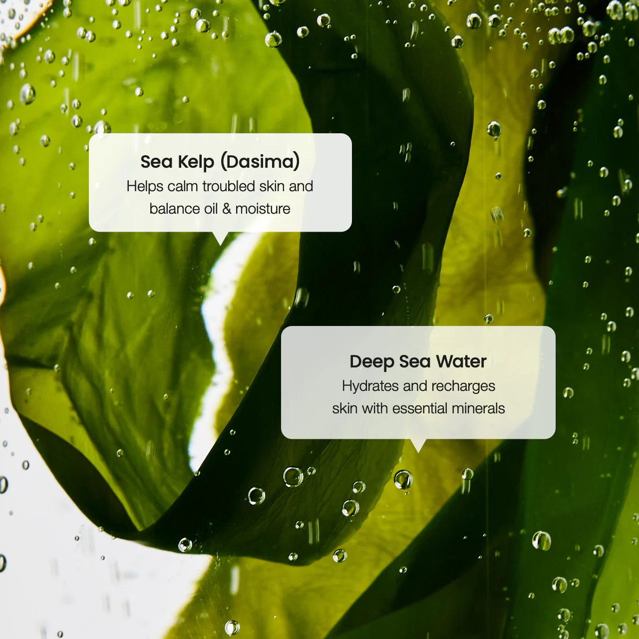 Refreshing Sea Kelp Serum - Image 6